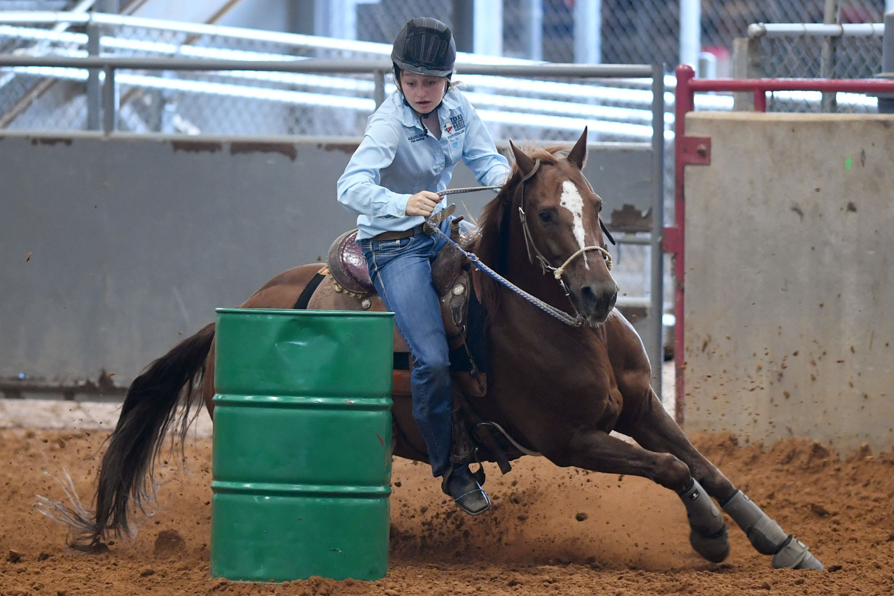 Texas State 4-H Horse Show